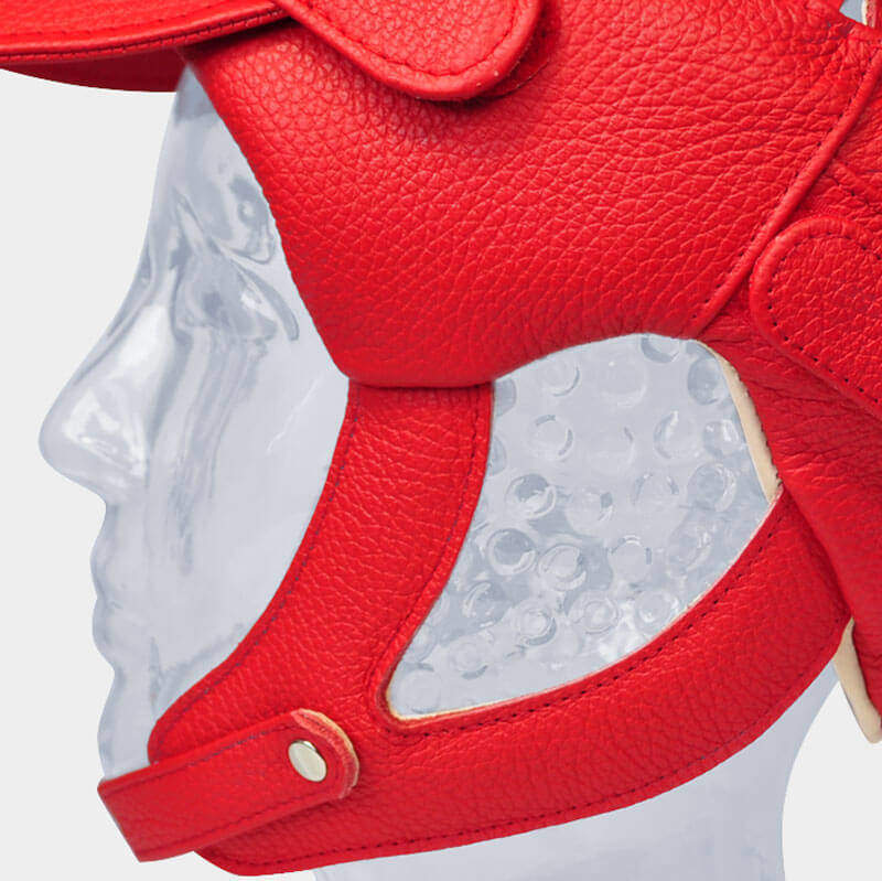 Starlight Secure Farbvariante